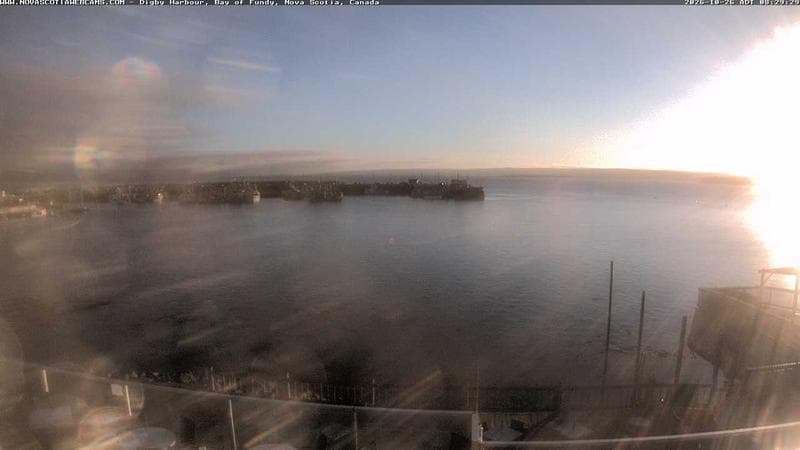Digby Harbour