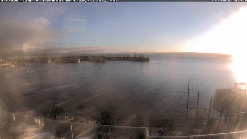 Digby Harbour