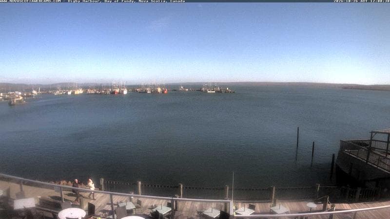 Digby Harbour