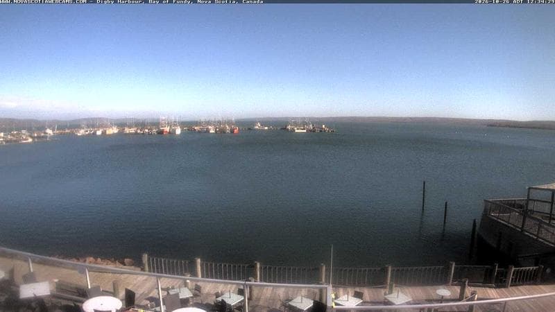 Digby Harbour