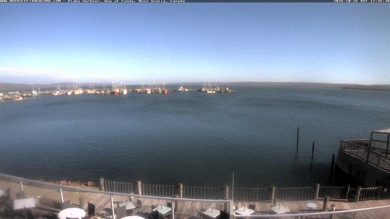 Digby Harbour