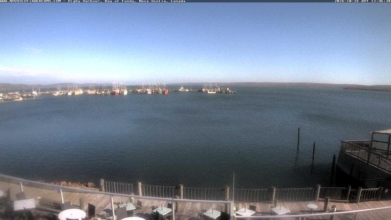 Digby Harbour