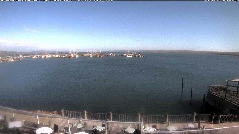 Digby Harbour