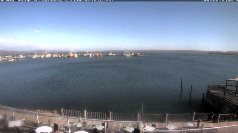 Digby Harbour