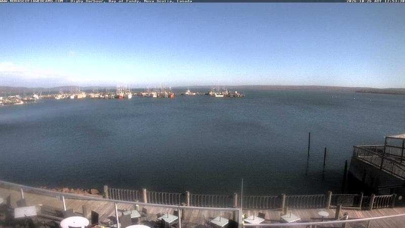 Digby Harbour