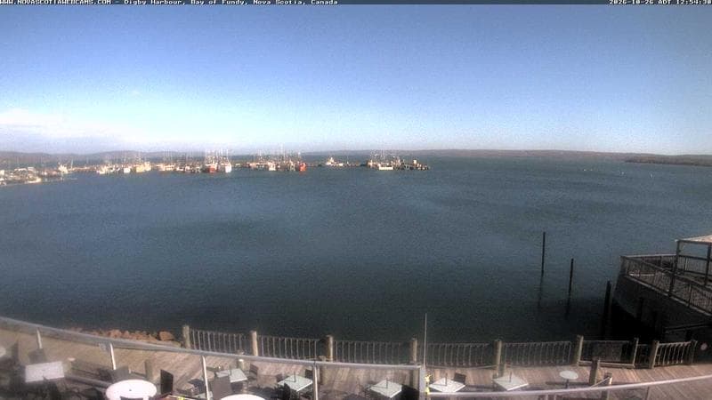 Digby Harbour