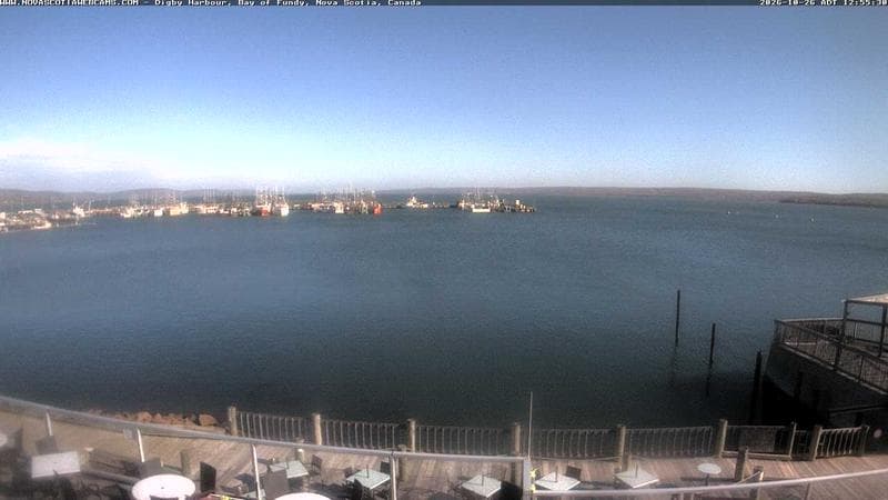 Digby Harbour