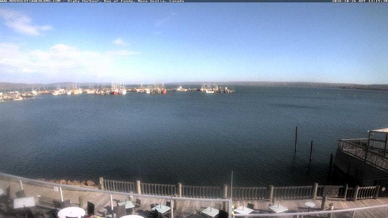 Digby Harbour