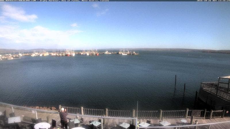 Digby Harbour