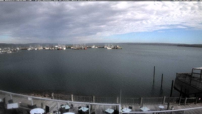Digby Harbour