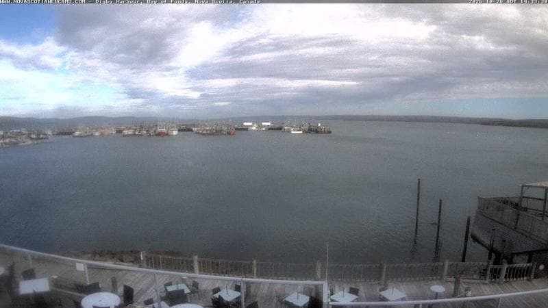 Digby Harbour