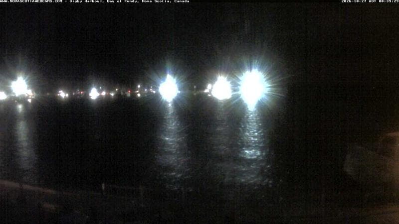 Digby Harbour