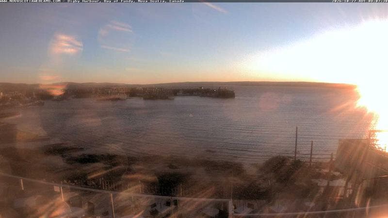 Digby Harbour