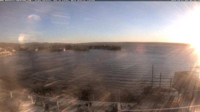 Digby Harbour
