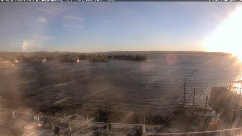 Digby Harbour