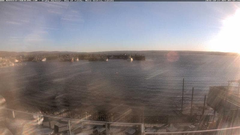 Digby Harbour