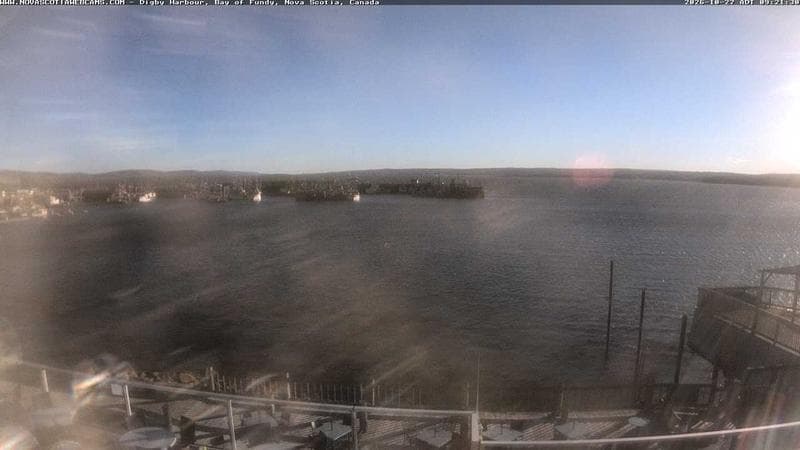 Digby Harbour