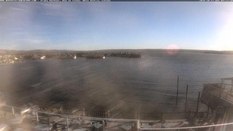 Digby Harbour