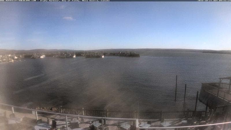 Digby Harbour