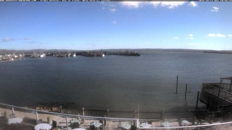 Digby Harbour