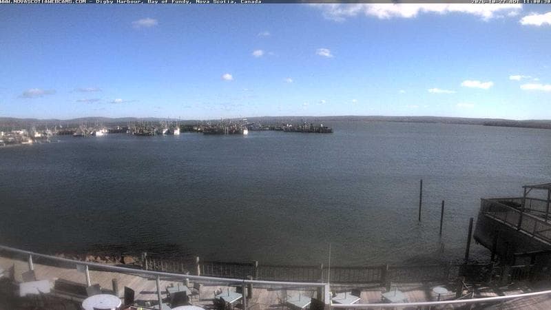 Digby Harbour