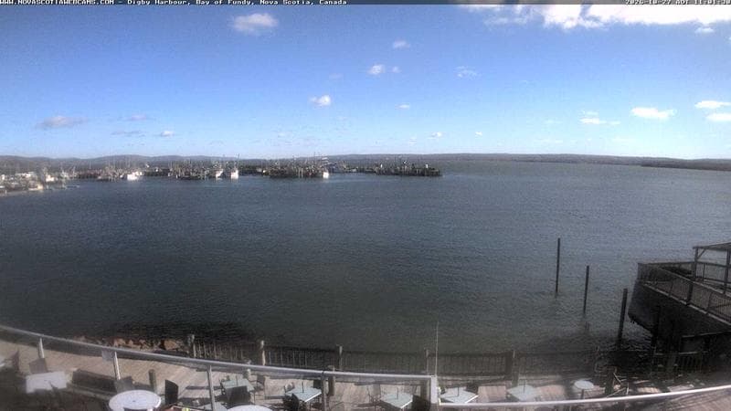 Digby Harbour