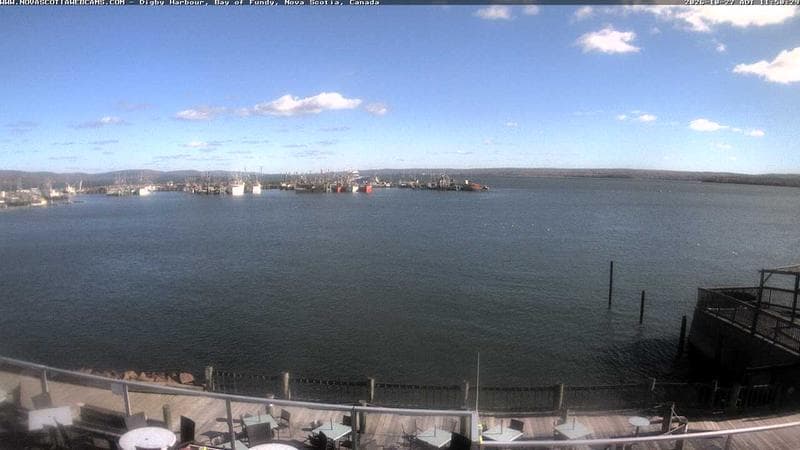 Digby Harbour