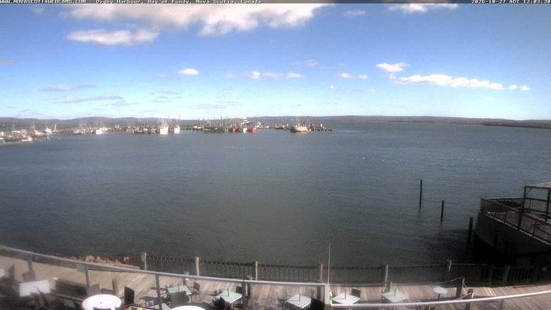 Digby Harbour