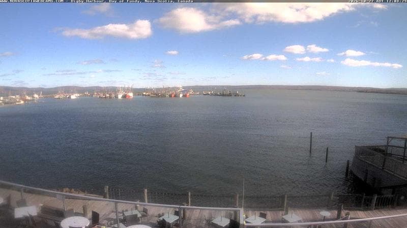 Digby Harbour