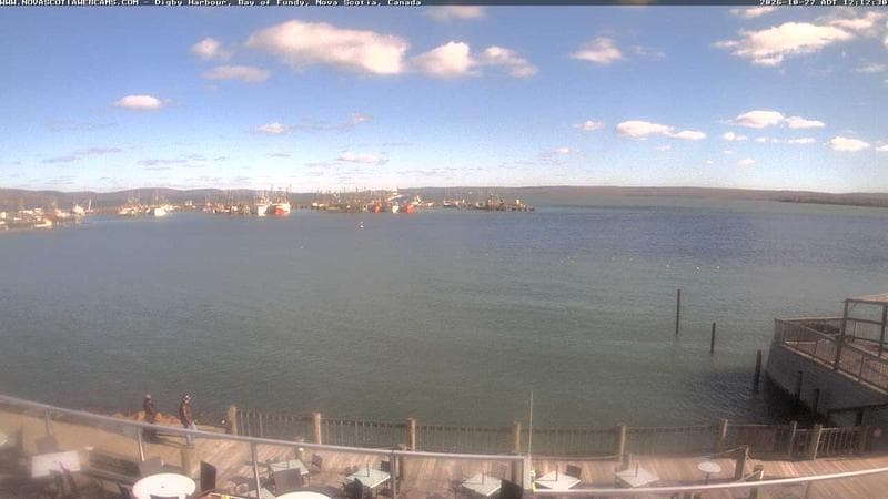 Digby Harbour