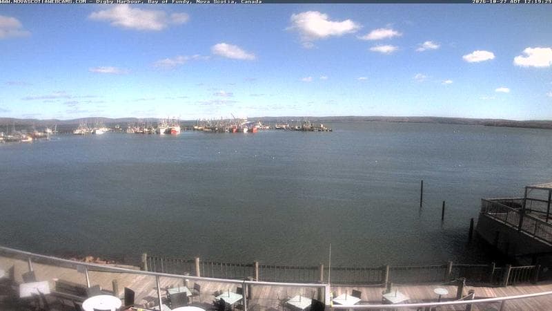 Digby Harbour
