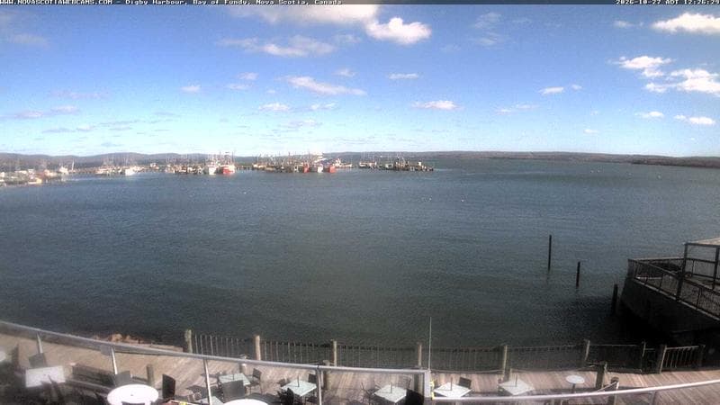 Digby Harbour