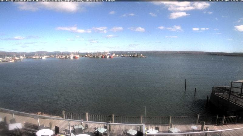 Digby Harbour