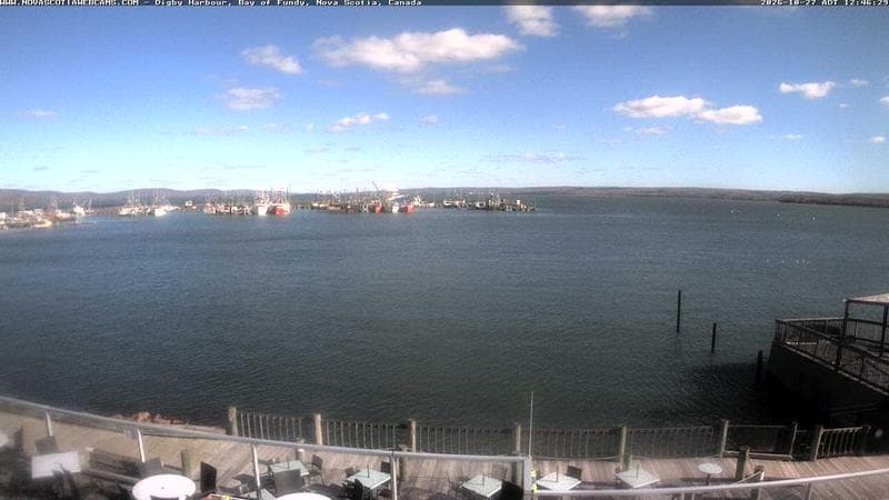 Digby Harbour