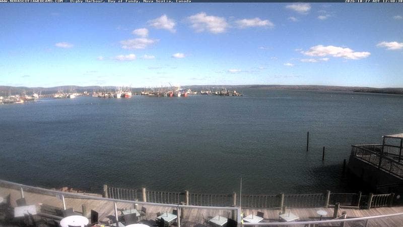 Digby Harbour