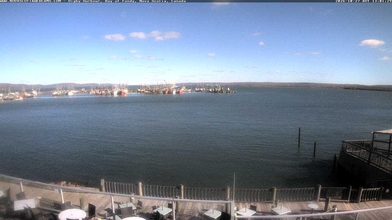 Digby Harbour