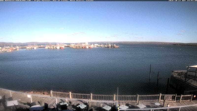 Digby Harbour