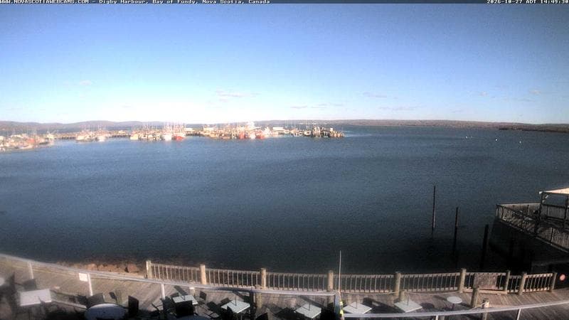 Digby Harbour