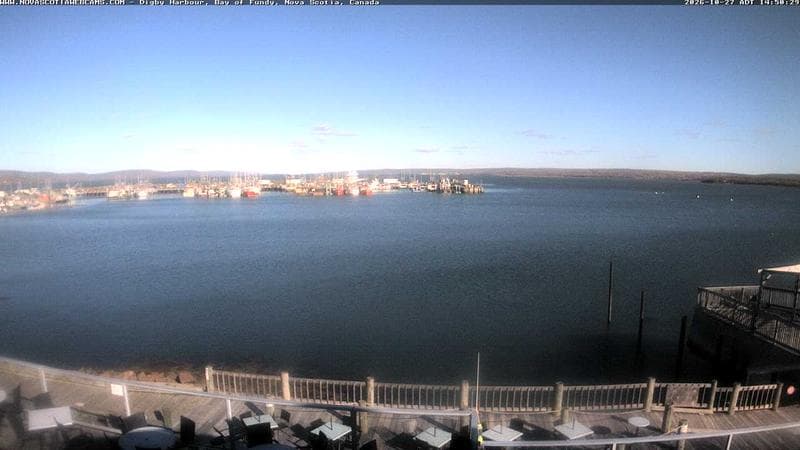 Digby Harbour