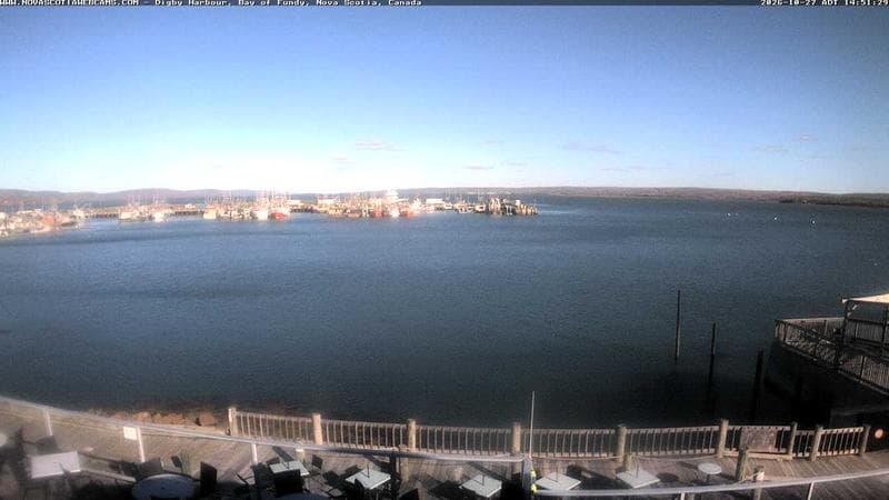 Digby Harbour