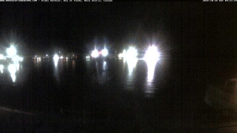 Digby Harbour