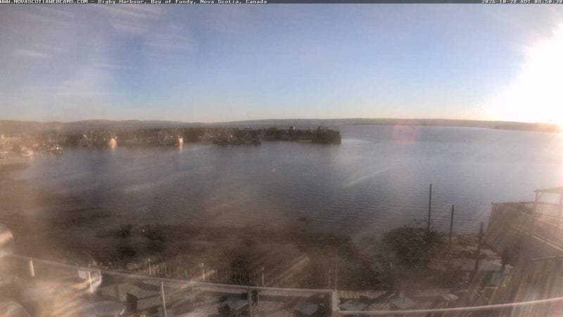 Digby Harbour