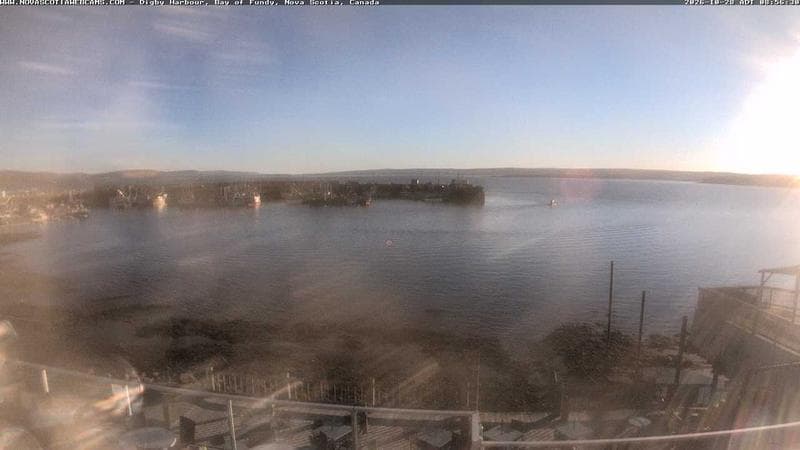 Digby Harbour