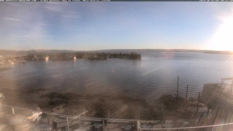 Digby Harbour