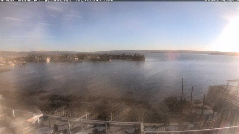 Digby Harbour