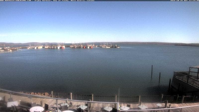 Digby Harbour