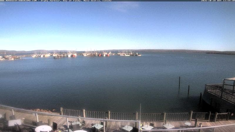 Digby Harbour