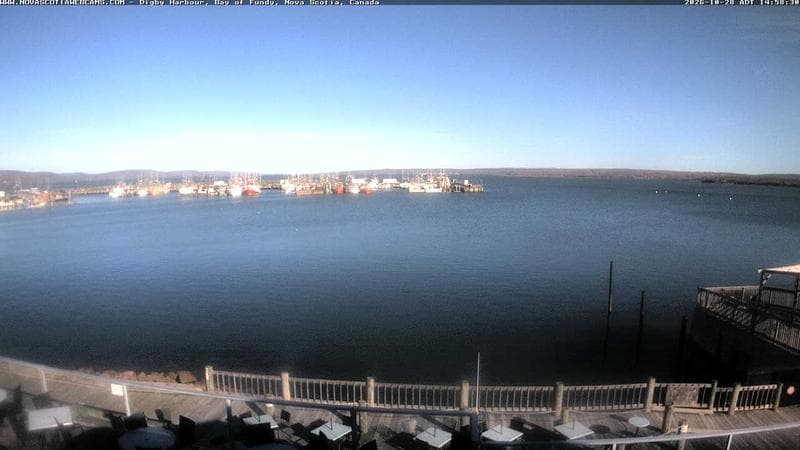 Digby Harbour