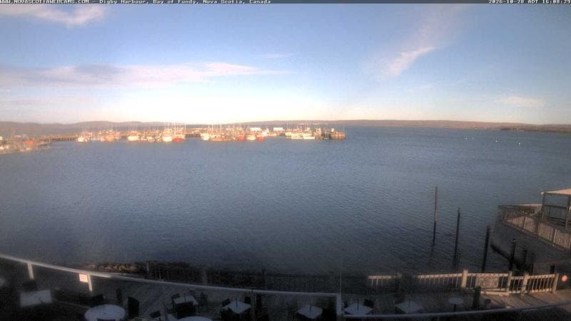 Digby Harbour