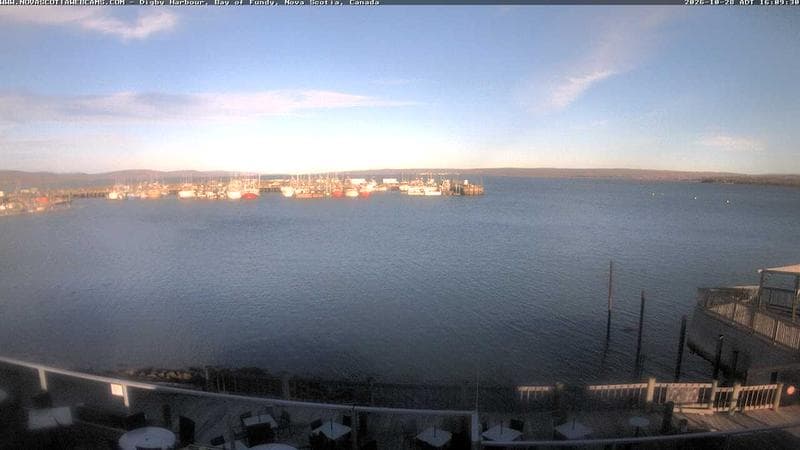 Digby Harbour